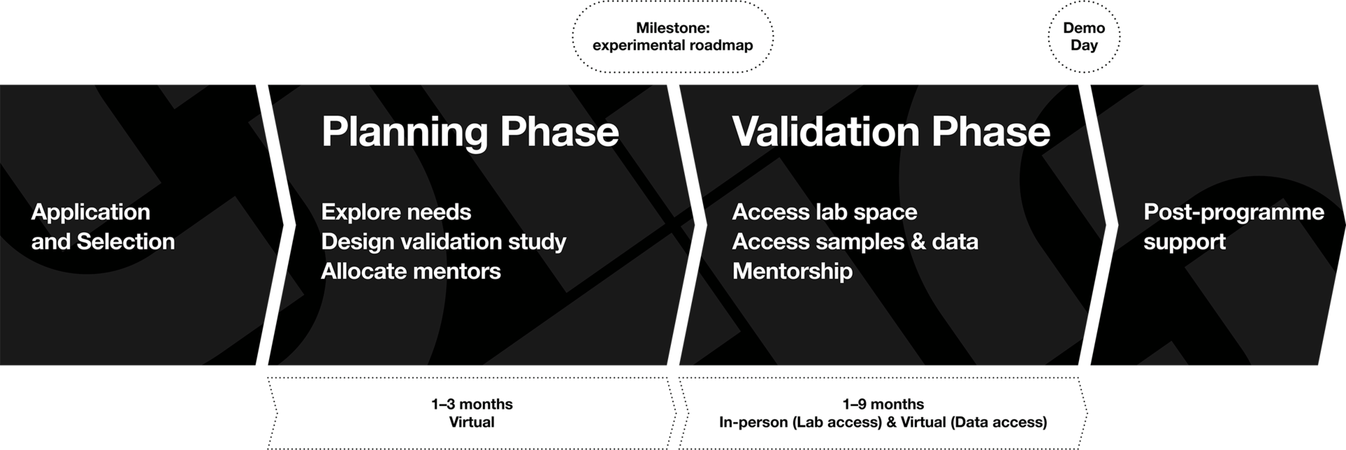 Roadmap of Becker Innovation Accelerator